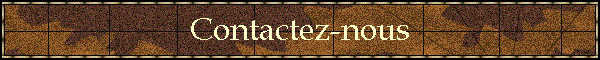 Contactez-nous